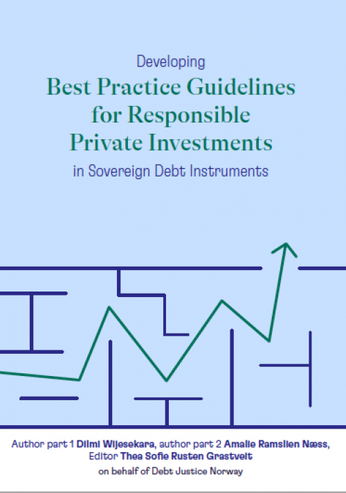 Developing Best Practice Guidelines for Responsible Private Investments in Sovereign Debt Instruments